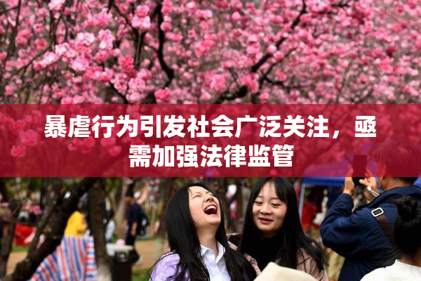 暴虐行为引发社会广泛关注，亟需加强法律监管