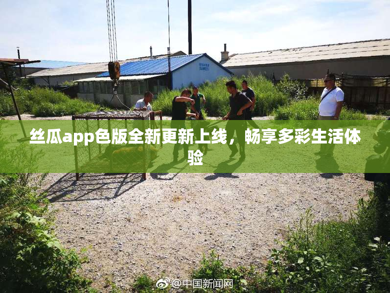 丝瓜app色版全新更新上线，畅享多彩生活体验