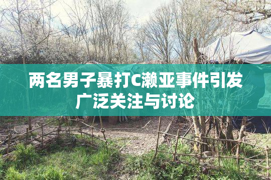 两名男子暴打C濑亚事件引发广泛关注与讨论