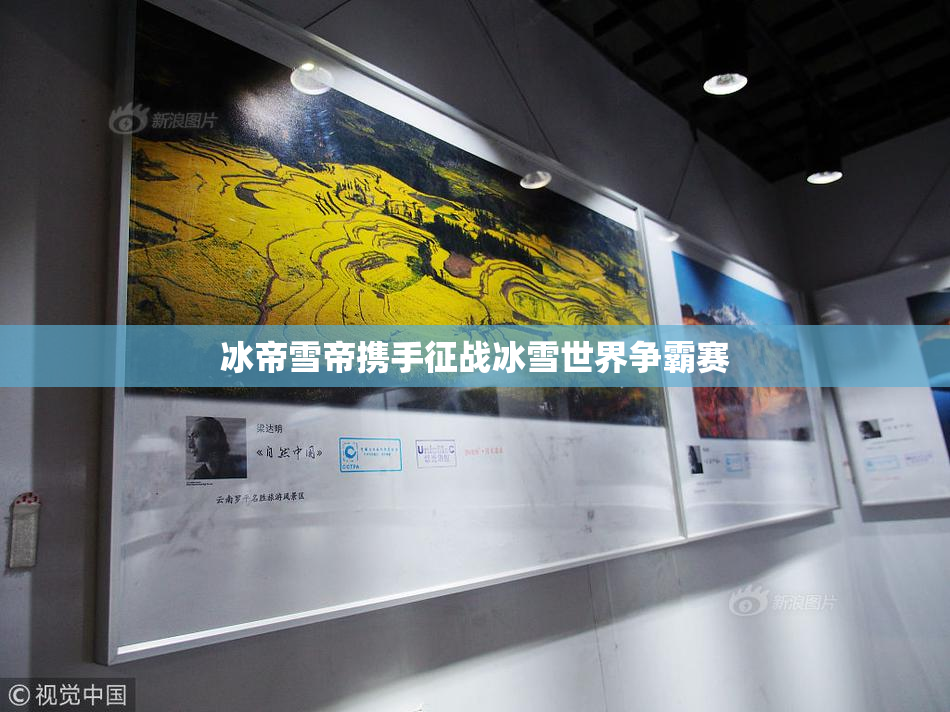 冰帝雪帝携手征战冰雪世界争霸赛