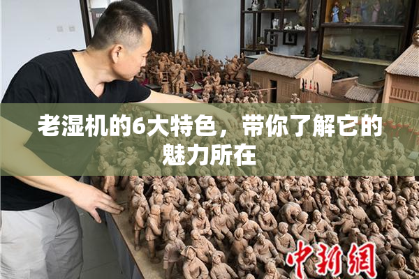 老湿机的6大特色，带你了解它的魅力所在