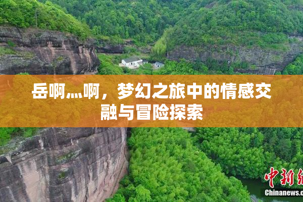 岳啊灬啊，梦幻之旅中的情感交融与冒险探索