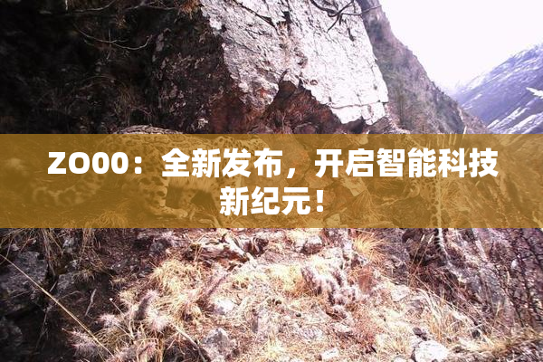 ZO00：全新发布，开启智能科技新纪元！