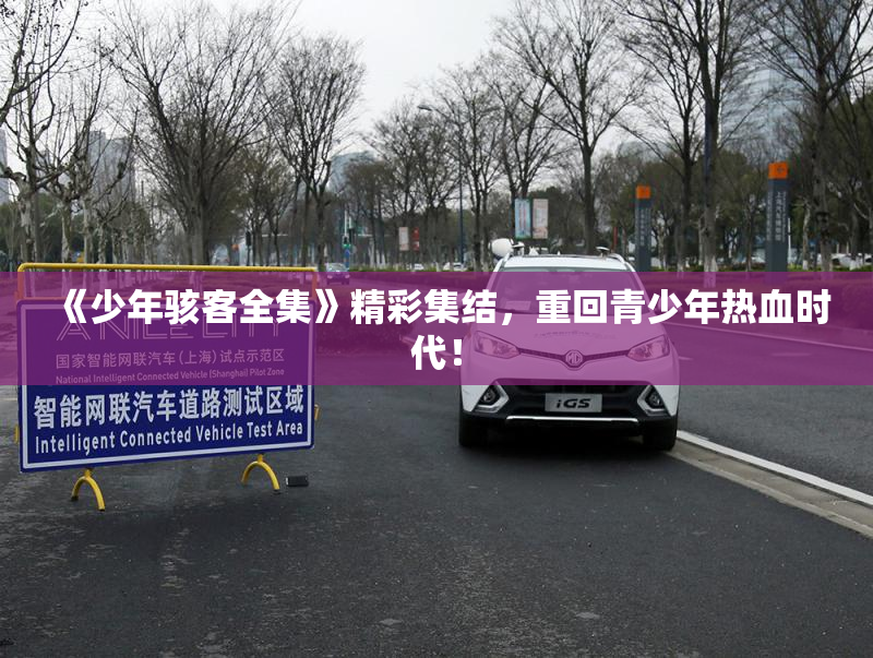 《少年骇客全集》精彩集结，重回青少年热血时代！