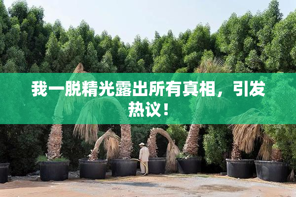 我一脱精光露出所有真相，引发热议！