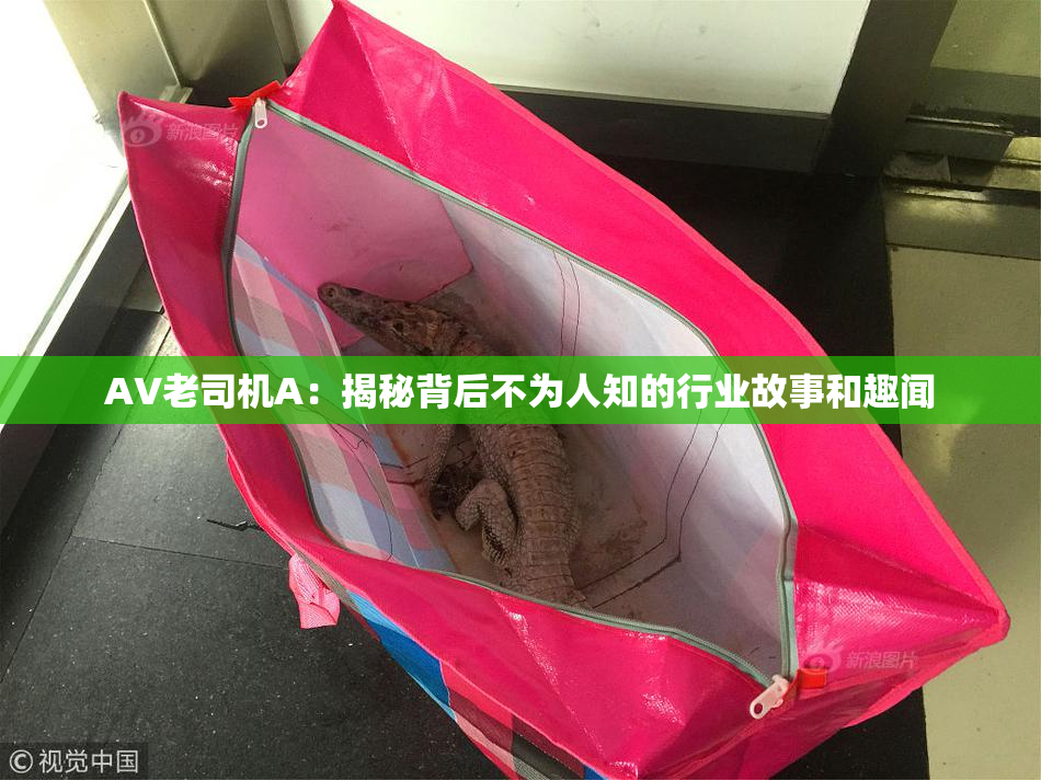 AV老司机A：揭秘背后不为人知的行业故事和趣闻