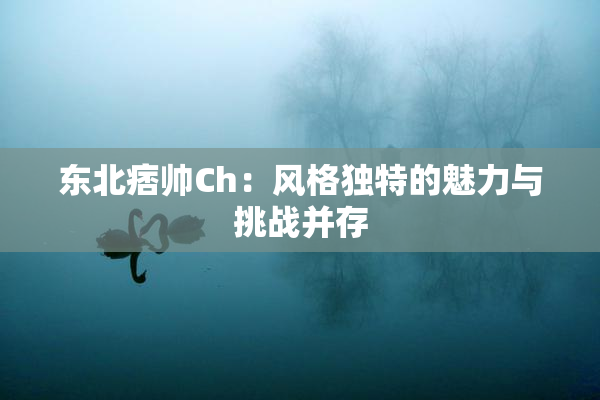 东北痞帅Ch：风格独特的魅力与挑战并存