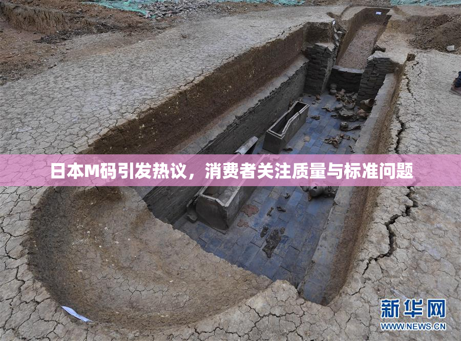 日本M码引发热议，消费者关注质量与标准问题