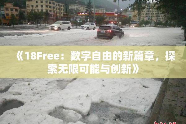 《18Free：数字自由的新篇章，探索无限可能与创新》