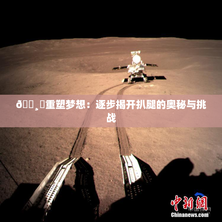 🌸‌重塑梦想：逐步揭开扒腿的奥秘与挑战