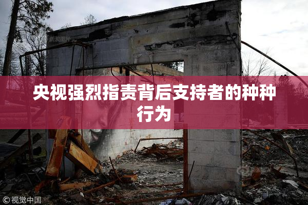 央视强烈指责背后支持者的种种行为