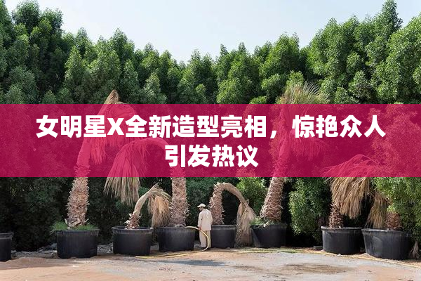 女明星X全新造型亮相，惊艳众人引发热议