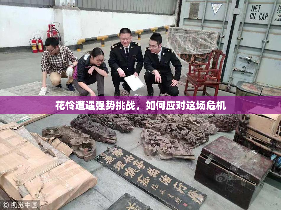 花怜遭遇强势挑战，如何应对这场危机