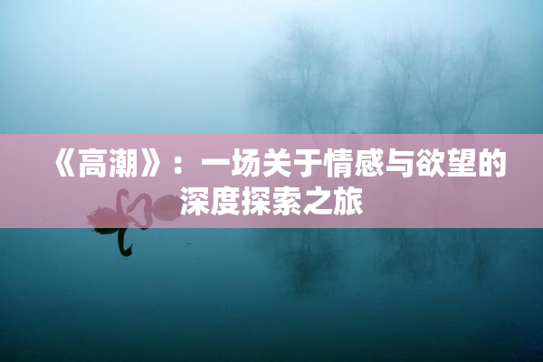 《高潮》：一场关于情感与欲望的深度探索之旅