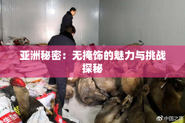 亚洲秘密：无掩饰的魅力与挑战探秘
