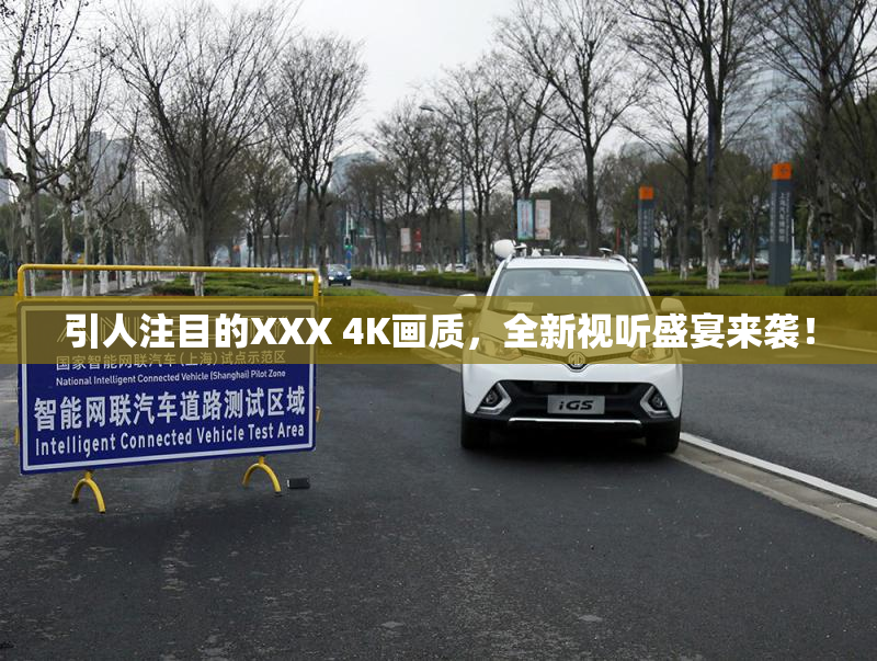 引人注目的XXX 4K画质，全新视听盛宴来袭！