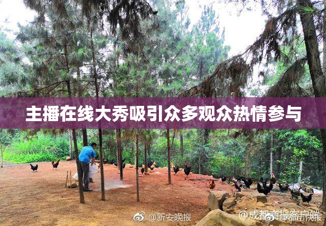 主播在线大秀吸引众多观众热情参与