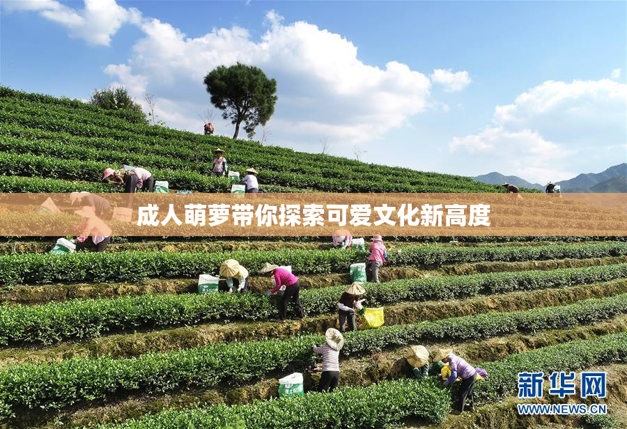 成人萌萝带你探索可爱文化新高度