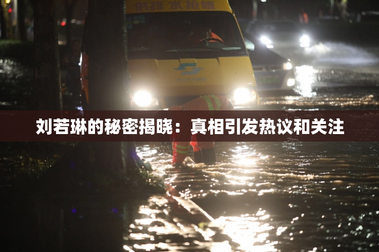 刘若琳的秘密揭晓：真相引发热议和关注