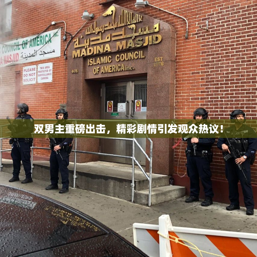 双男主重磅出击，精彩剧情引发观众热议！