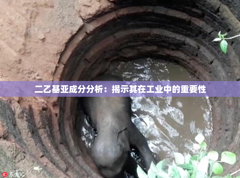 二乙基亚成分分析：揭示其在工业中的重要性