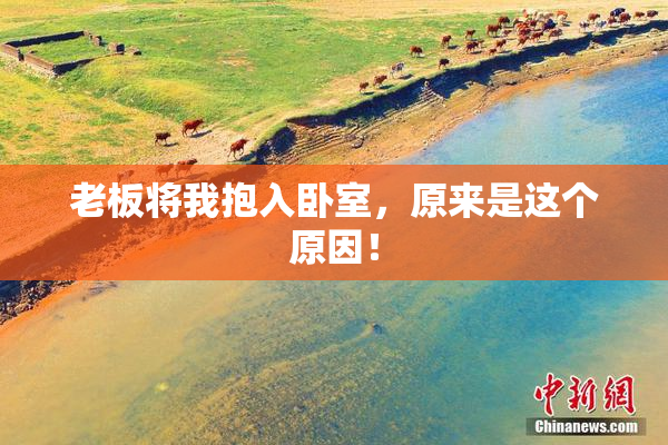 老板将我抱入卧室，原来是这个原因！