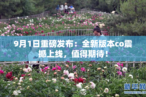 9月1日重磅发布：全新版本co震撼上线，值得期待！