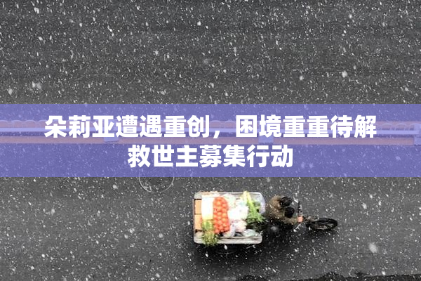 朵莉亚遭遇重创，困境重重待解救世主募集行动