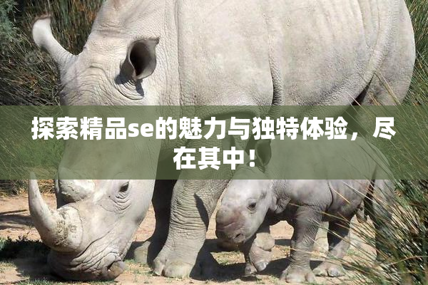 探索精品se的魅力与独特体验，尽在其中！