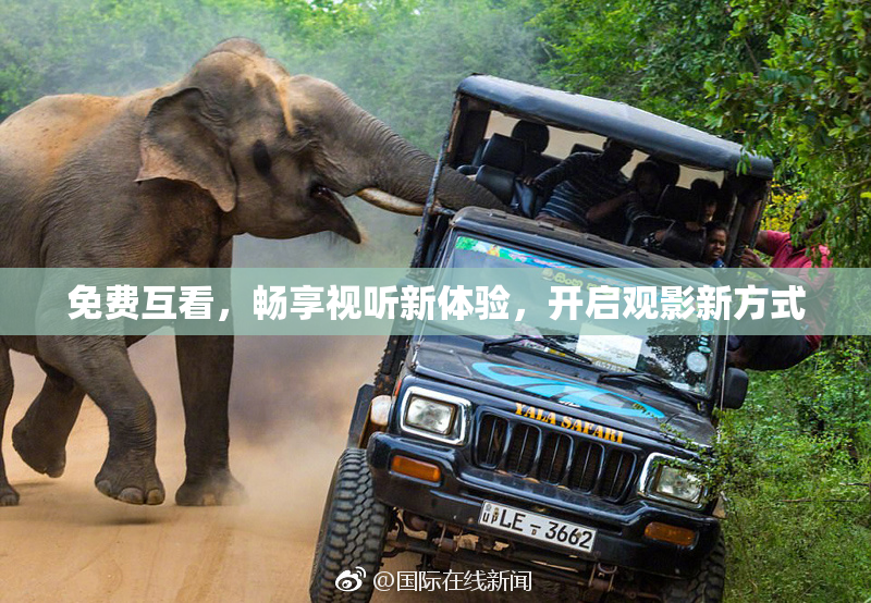免费互看，畅享视听新体验，开启观影新方式