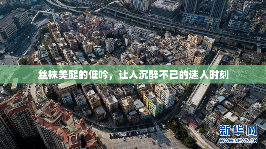 丝袜美腿的低吟，让人沉醉不已的迷人时刻
