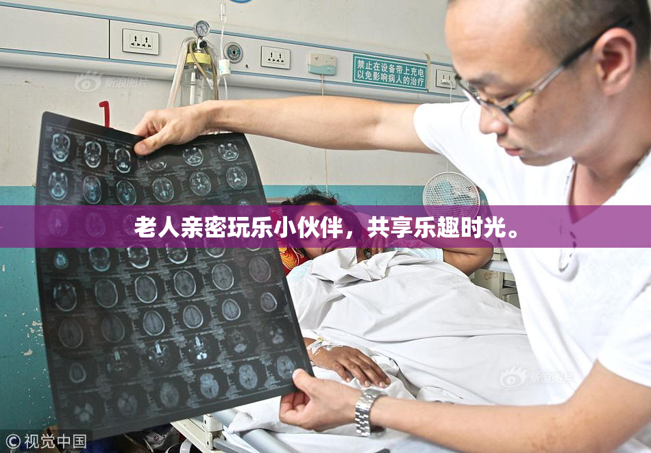 老人亲密玩乐小伙伴，共享乐趣时光。