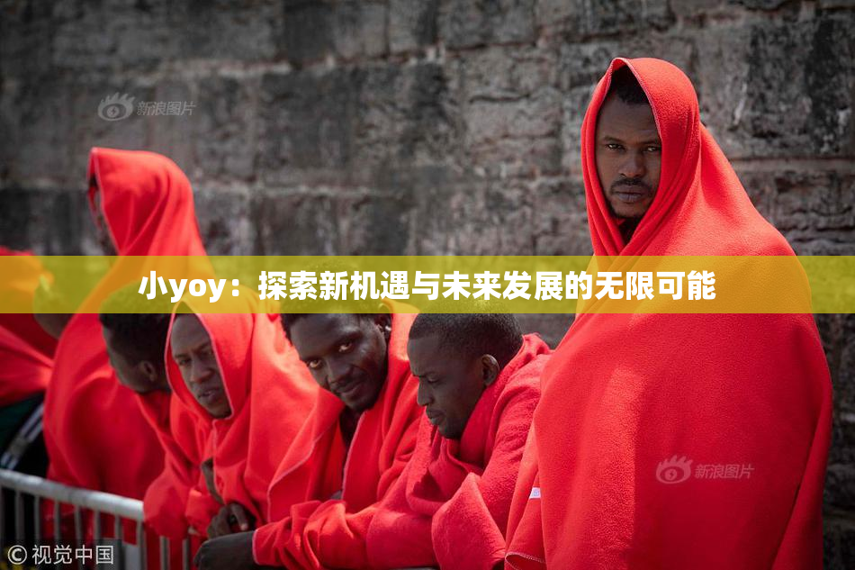 小yoy：探索新机遇与未来发展的无限可能