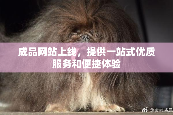 成品网站上线，提供一站式优质服务和便捷体验