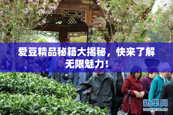 爱豆精品秘籍大揭秘，快来了解无限魅力！