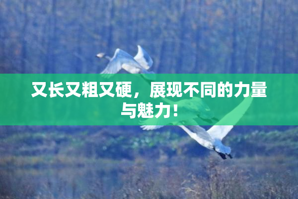 又长又粗又硬，展现不同的力量与魅力！
