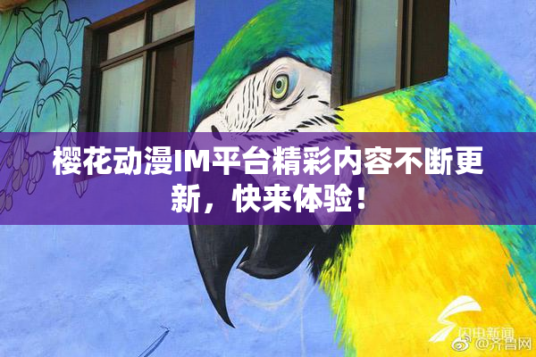 樱花动漫IM平台精彩内容不断更新，快来体验！