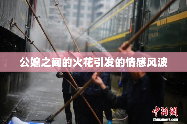 公媳之间的火花引发的情感风波