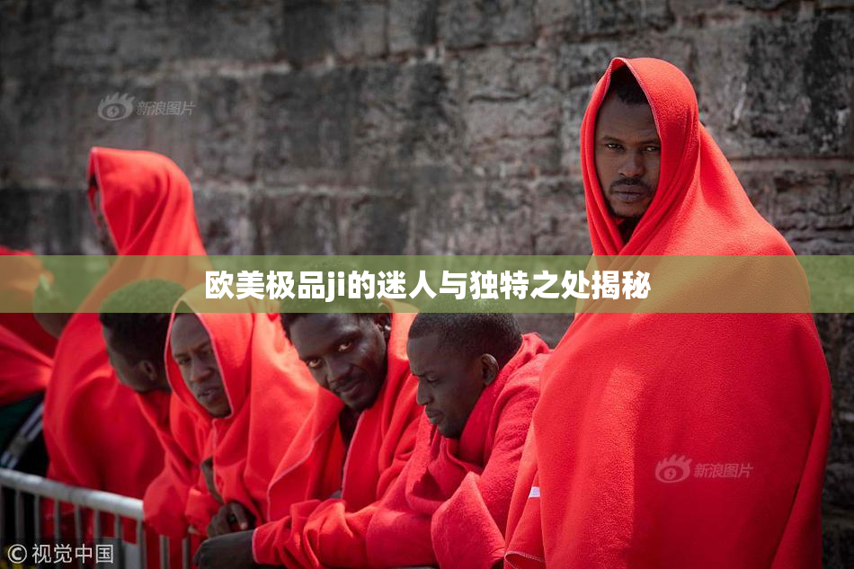 欧美极品ji的迷人与独特之处揭秘