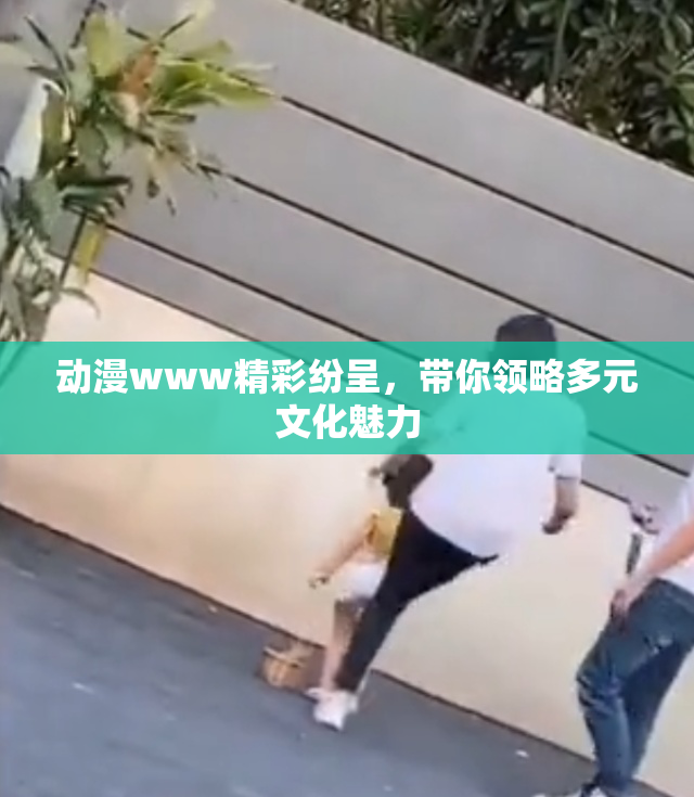 动漫www精彩纷呈，带你领略多元文化魅力