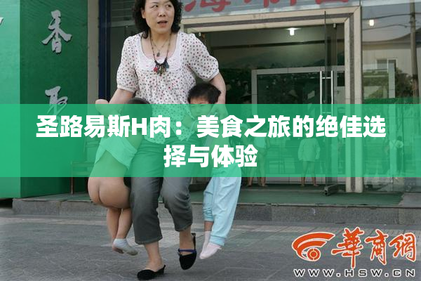 圣路易斯H肉：美食之旅的绝佳选择与体验