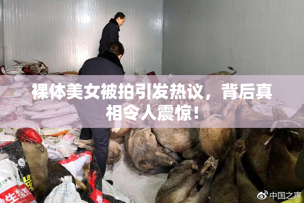 裸体美女被拍引发热议，背后真相令人震惊！