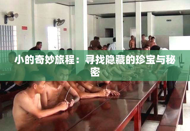 小的奇妙旅程：寻找隐藏的珍宝与秘密