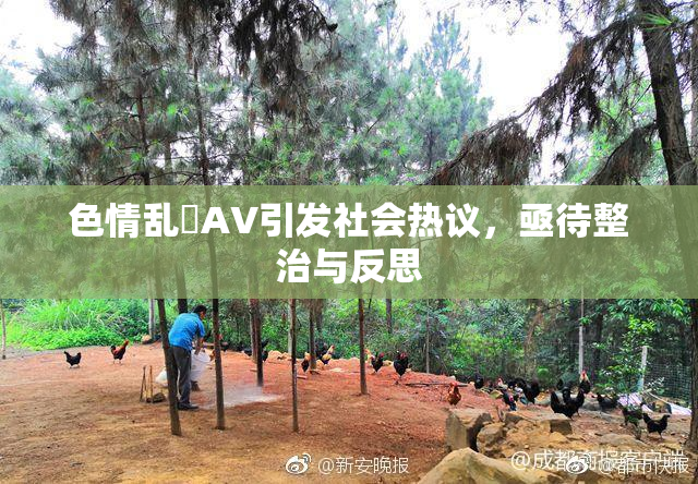 色情乱婬AV引发社会热议，亟待整治与反思