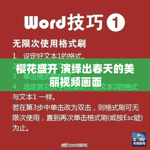 樱花盛开 演绎出春天的美丽视频画面