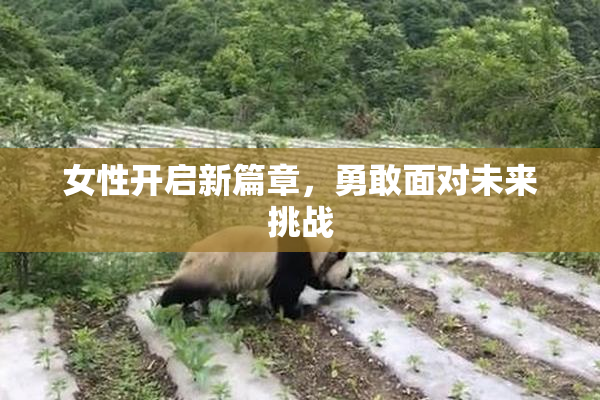 女性开启新篇章，勇敢面对未来挑战