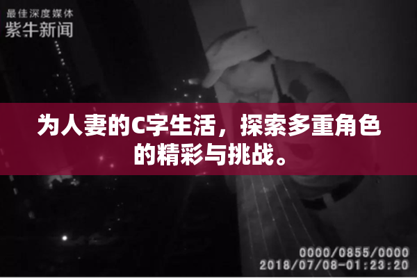为人妻的C字生活，探索多重角色的精彩与挑战。
