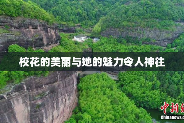 校花的美丽与她的魅力令人神往