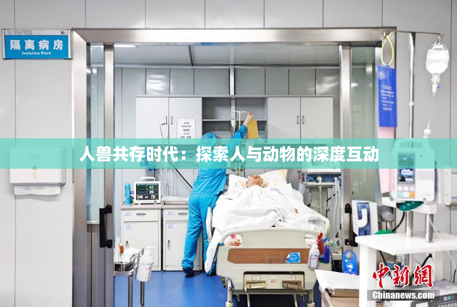 人兽共存时代：探索人与动物的深度互动