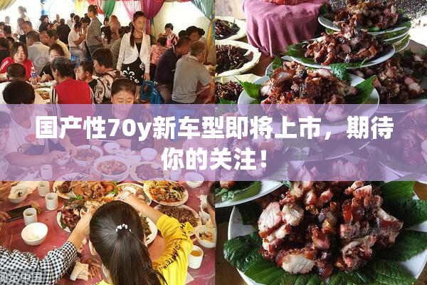 国产性70y新车型即将上市，期待你的关注！